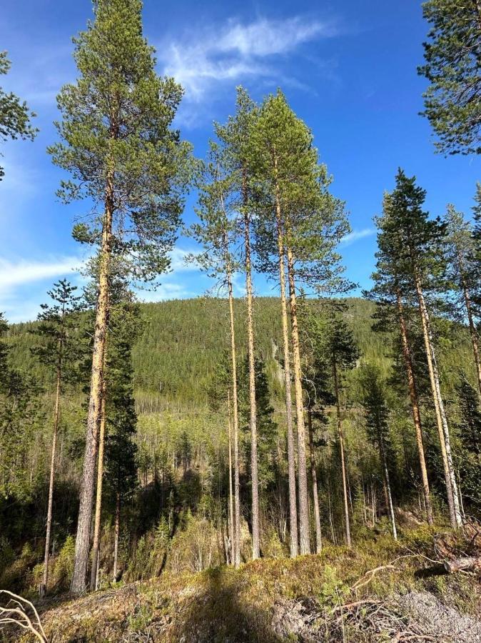 Stuga I Storklinten Harads Bagian luar foto